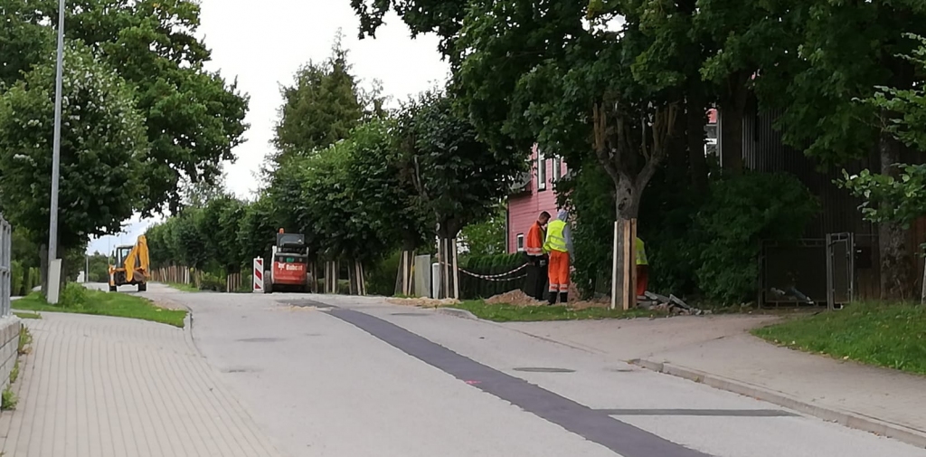 Autors: Uldis Varnevičs