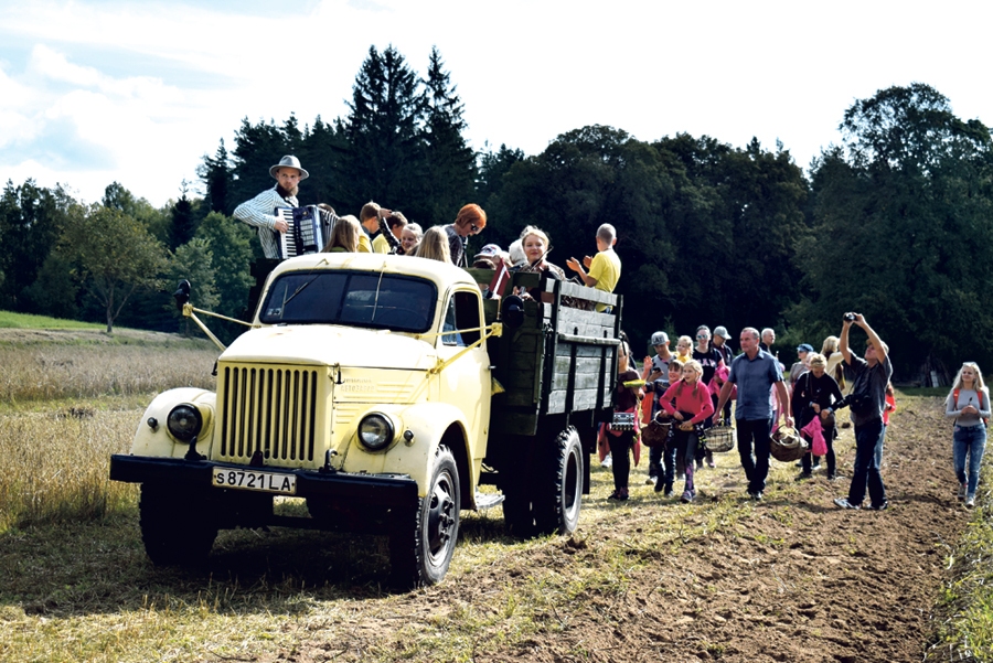 Izmēģinājumu laukā piedzīvojumus sagādāja gan ražas vākšana, gan vizināšanās senlaiku kravas automašīnā. FOTO – ŽANNA ZĀLĪTE
Autors: Žanna Zālīte