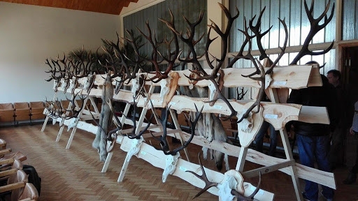 Autors: Latvijas Mednieku savienība