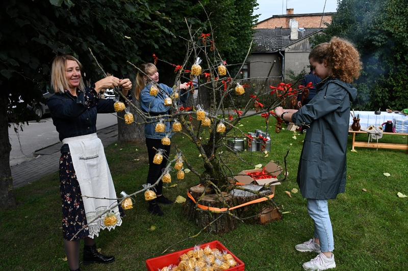 Autors: Ivars Bogdanovs