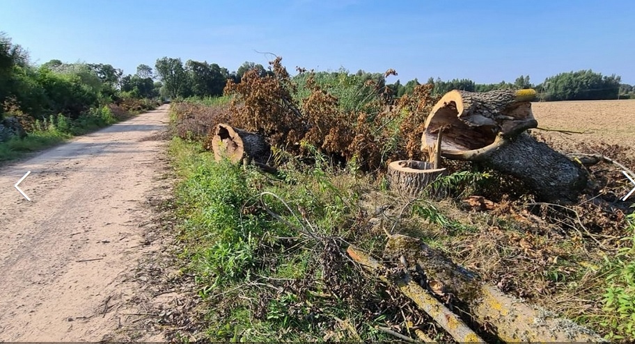 Autors: Dabas aizsardzības pārvalde