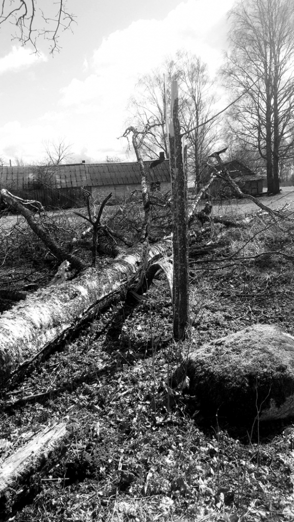 Ilustratīvs foto
Autors: sadalestikls.lv.