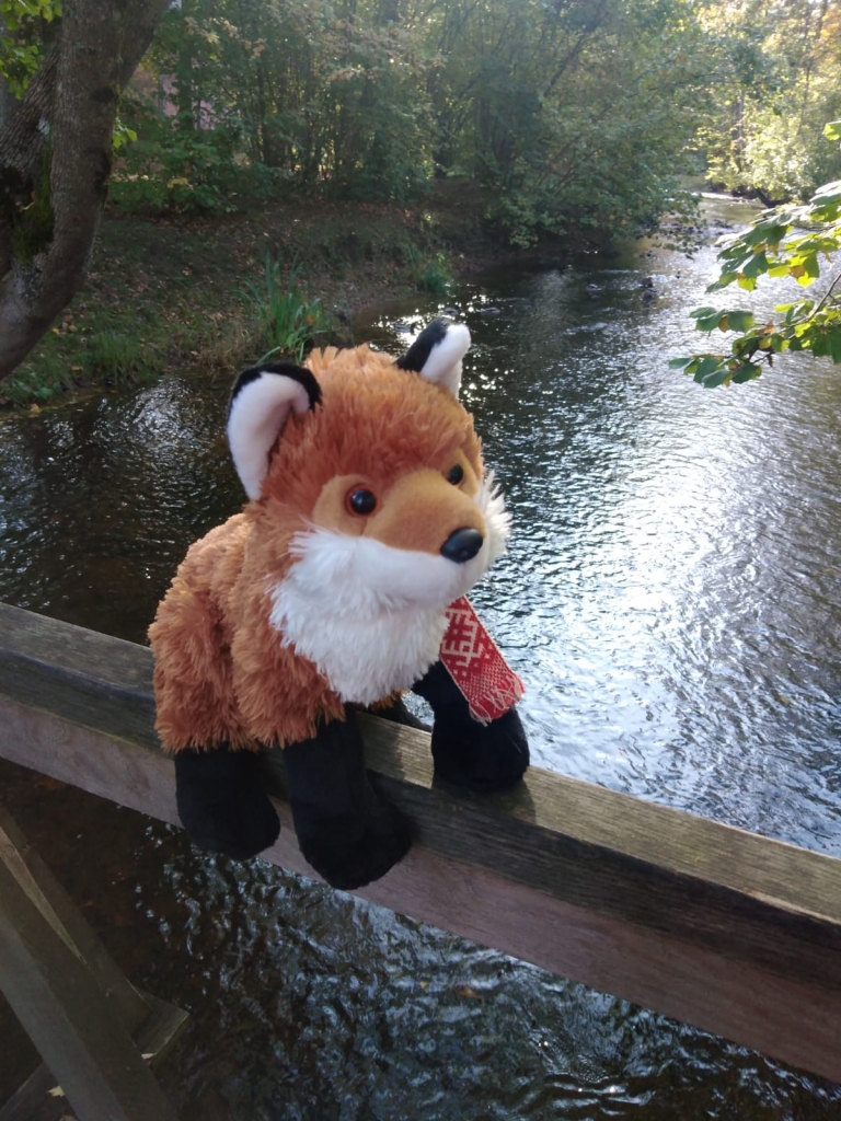 Rude šodien sastopama Iecavas parkā.
Autors: No albuma.