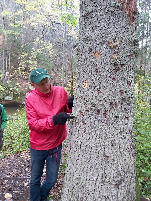 Juris Smaļinskis, biologs, prot lasīt visapslēptākās dabas zīmes.
Autors: Ruta Keiša