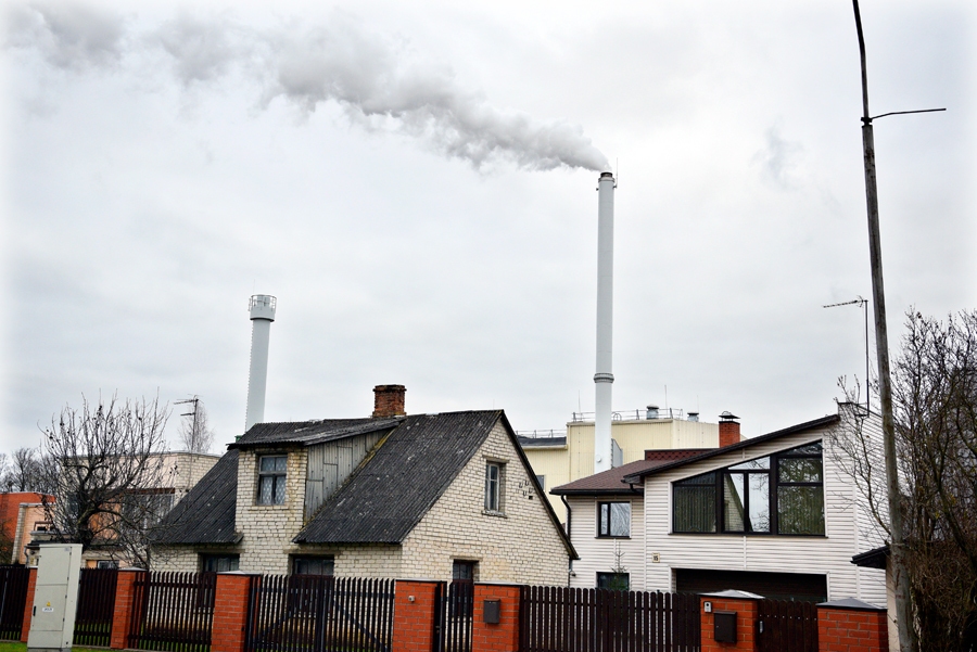 no «Bauskas Dzīves» arhīva.