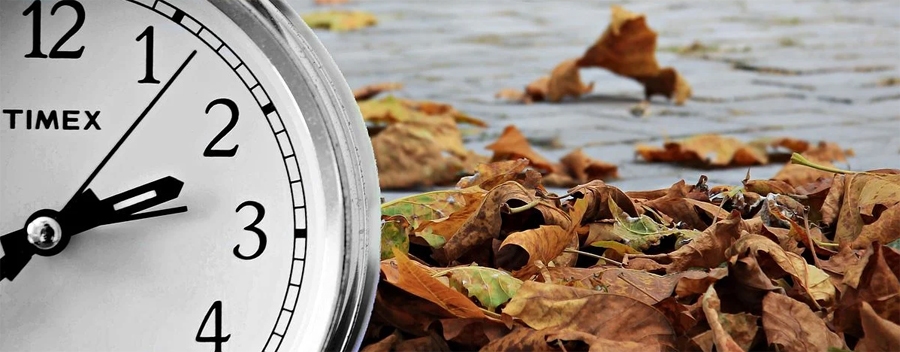 Autors: no pixabay.com.