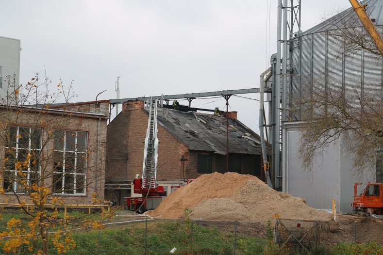 Autors: Anta Kļaveniece, iecava.lv