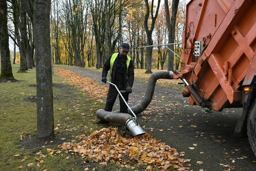 «Vides serviss» šogad ieviesis mehanizēto lapu savākšanu, teju izslēdzot roku darbu. Pirmo reizi atkritumu automašīna ir pārveidota par tādu kā lielu «putekļusūcēju» – motors rada vakuumu, un lapas tiek sasūktas iekšā. Lapas pilsētas parkos un skvēros saber vietās, kur auto var piebraukt. Iepriekšējos gados lapas vāca maisos, darbs bija apgrūtinošs.
Autors: Ivars Bogdanovs