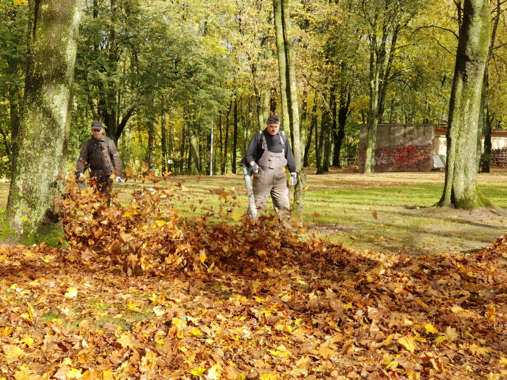 Autors: www.bauskasdzive.lv