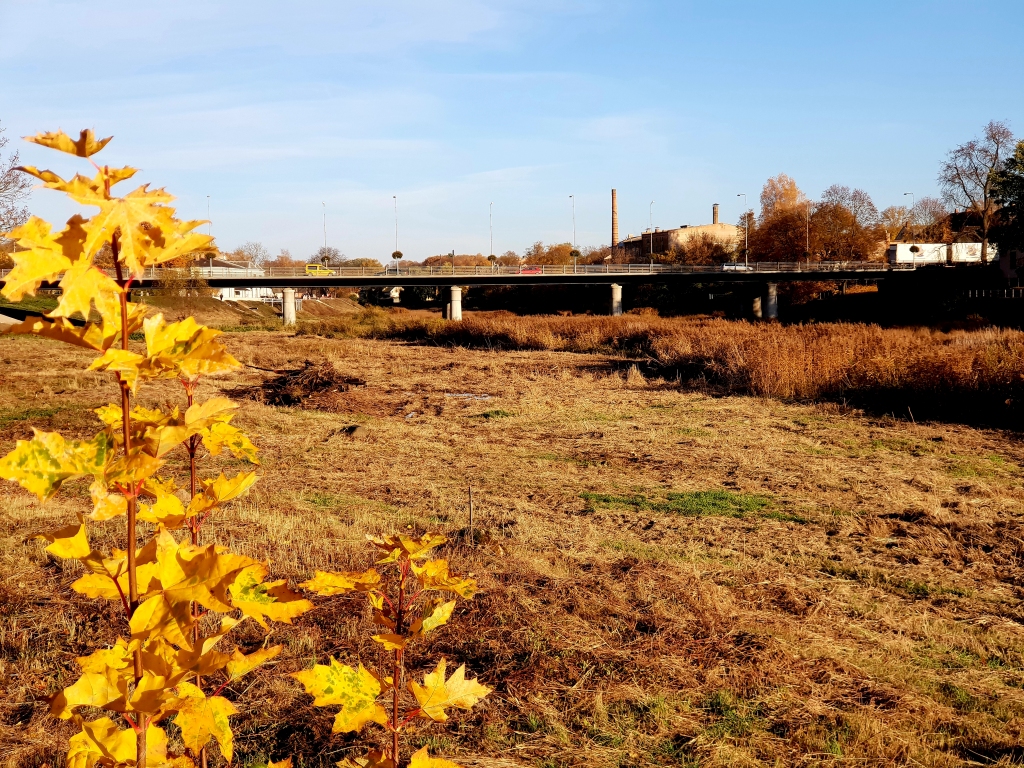 Autors: www.bauskasdzive.lv