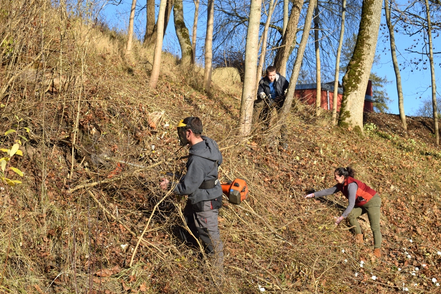 Iedzīvotāju kopienas sava pagasta dzīves veidošanā daudzviet iegulda pašu darbu jau tagad. Piemēram, skaistkalnieši un kurmenieši, kas rīkojuši Mēmeles krasta sakopšanas talku Skaistkalnē.
Autors: Žanna Zālīte