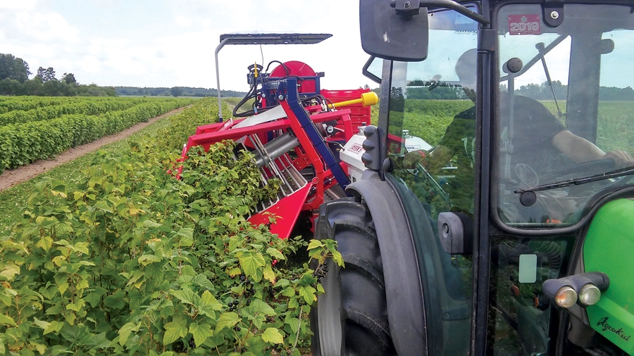 Bioloģiskā saimniecība «Krogzeme» Limbažu 
novadā 2009. gadā sāka ar 
17 hektāriem, bet, dažādos investīciju projektos iegūstot pusmiljonu ES naudas, ir pieckārt paplašinājusies un 
audzē upenes, smiltsērkšķus, ābolus, stādus. «Projekti 
ļauj attīstīties foršā ātrumā,» saka saimnieks Andris Krogzems.
Autors: no  A. Krogzema  personiskā arhīva.