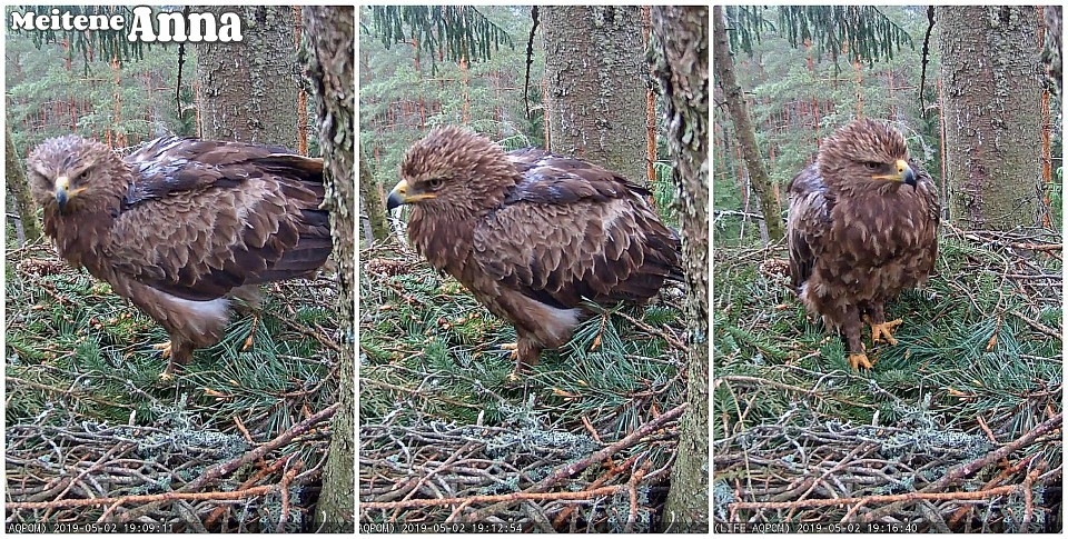 Autors: dabasdati.lv