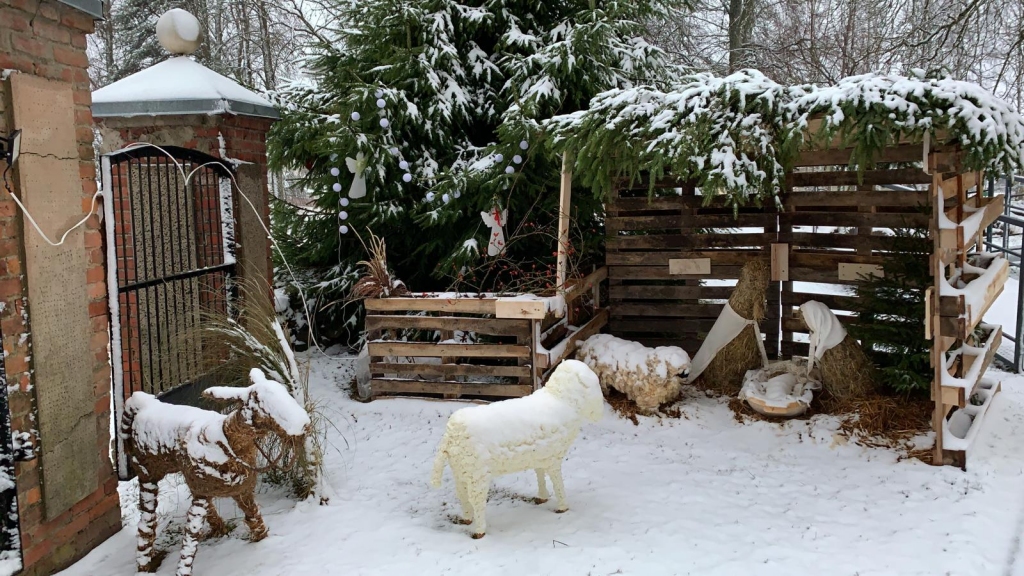 Autors: Žanna Zālīte