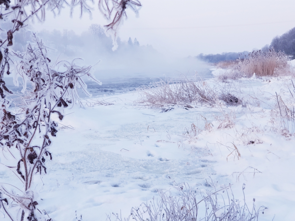 Autors: www.bauskasdzive.lv