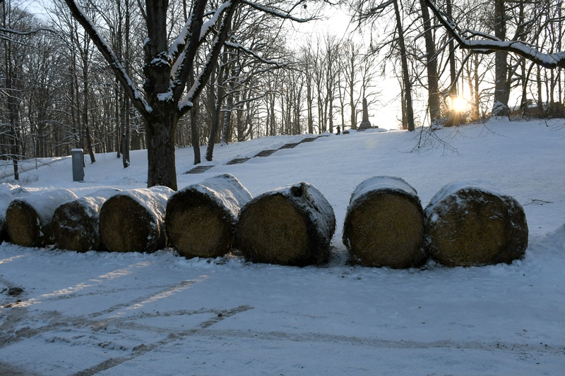 Autors: Ivars Bogdanovs