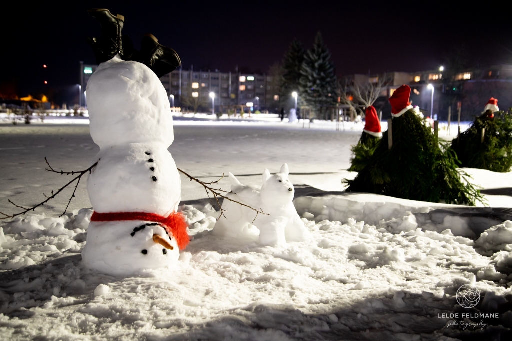 Pirmā vieta ar 707 balsīm Dreimaņu ģimenes darbam.
Autors: no biedrības «Laiks jauniešiem» albuma