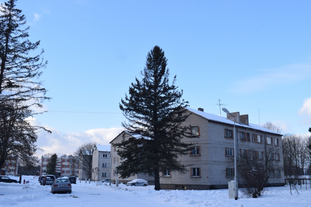 Misas ciems kūdras fabrikas bijušā direktora Jāņa Krūmiņa darbības laikā – no 1962. līdz 1995. gadam – ļoti mainījies. 60. gadu sākumā purvainajā teritorijā slējās vien trīs barakas.
Autors: Žanna Zālīte