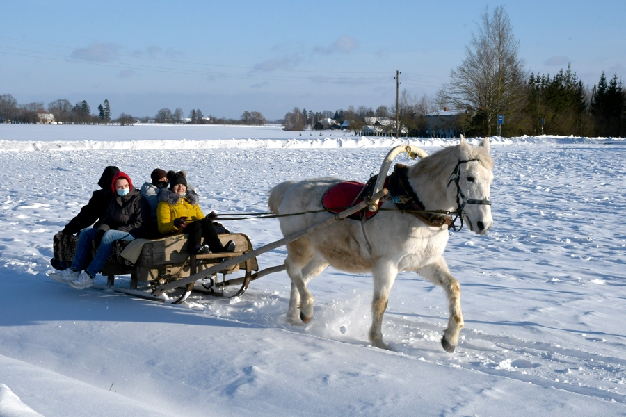 Māra Cimermane (ar grožiem) ir gatava kamanās izvadāt interesentus. Kopā sasēžas tikai cilvēki no vienas mājsaimniecības.
Autors: Ivars Bogdanovs