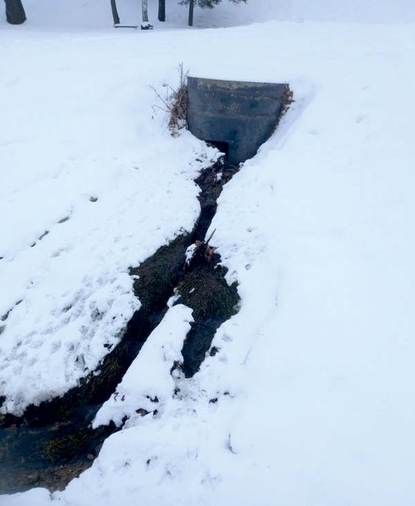 Autors: Aculiecinieces foto.