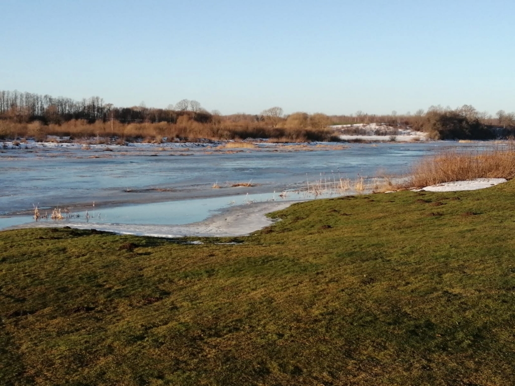 Piektdienas, 26.februārī, rītā Mežotnē pie Cepļa sniega sega uz laukiem izzudusi, Lielupe pārklāta ar ledus kārtu.
Autors: www.bauskasdzive.lv