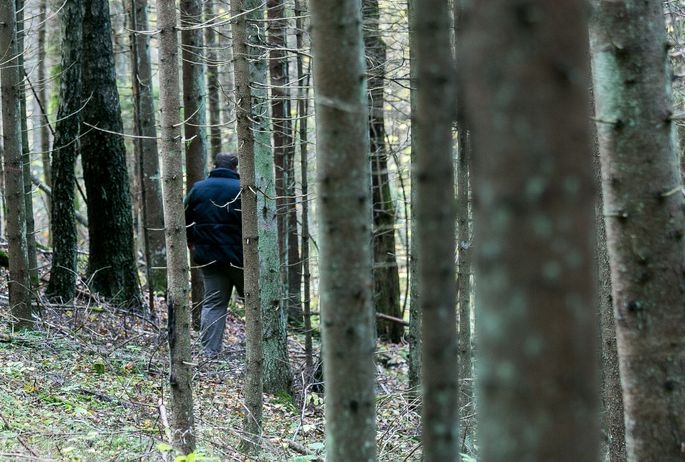 Fotoattēlam ilustratīva nozīme.