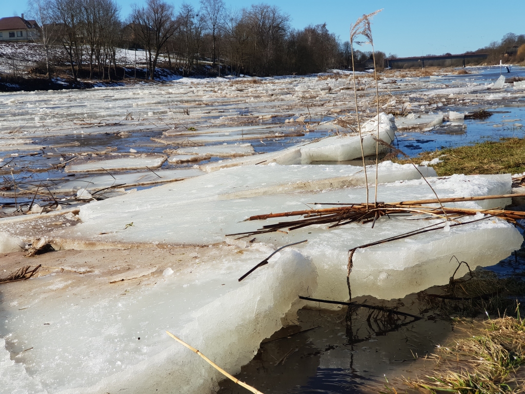 Autors: www.bauskasdzive.lv