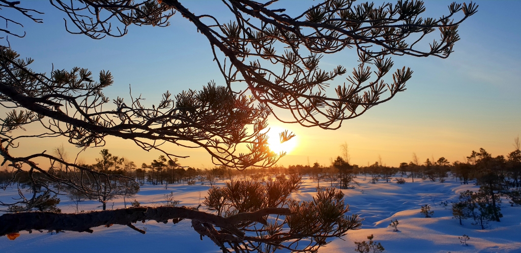 Autors: www.bauskasdzive.lv