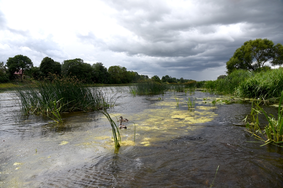 Lielupes baseina upju problēma – tās aizaug.
Autors: no «Bauskas Dzīves» arhīva.
