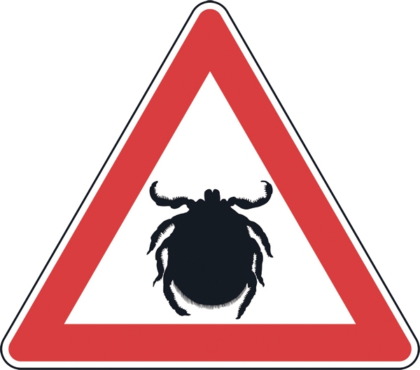 Profilakses nolūkos pret ērču encefalītu vēlams vakcinēties ikvienam iedzīvotājam, uzsver speciālisti. Gan jau vasarā ceļosim pa Latviju un apmeklēsim arī endēmiskās teritorijas. Daudzas no tām atrodas pie jūras.
Autors: vectorstock.com.