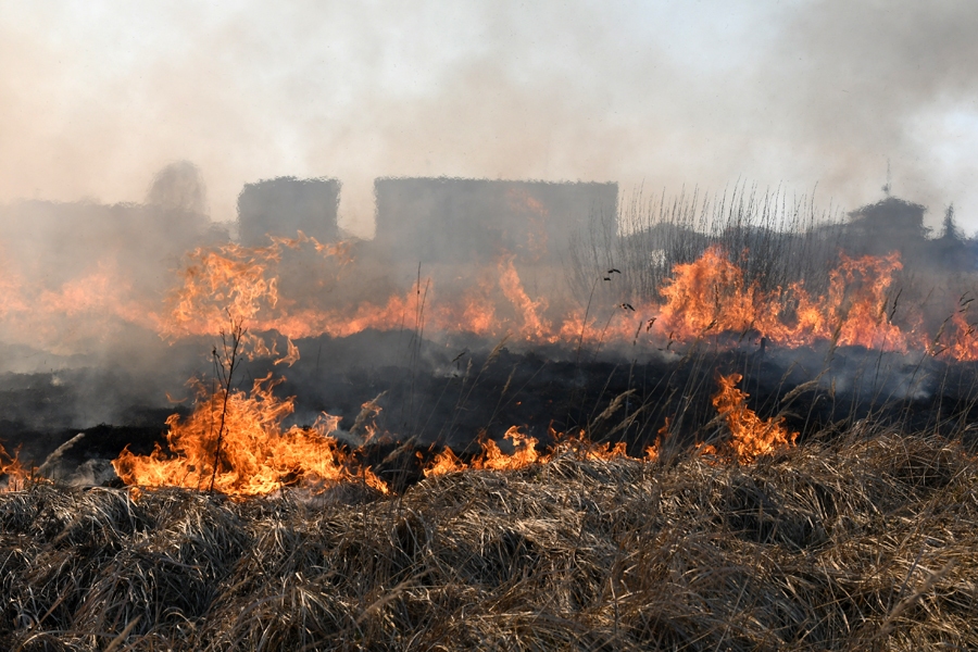 Autors: no «Bauskas Dzīves» arhīva.