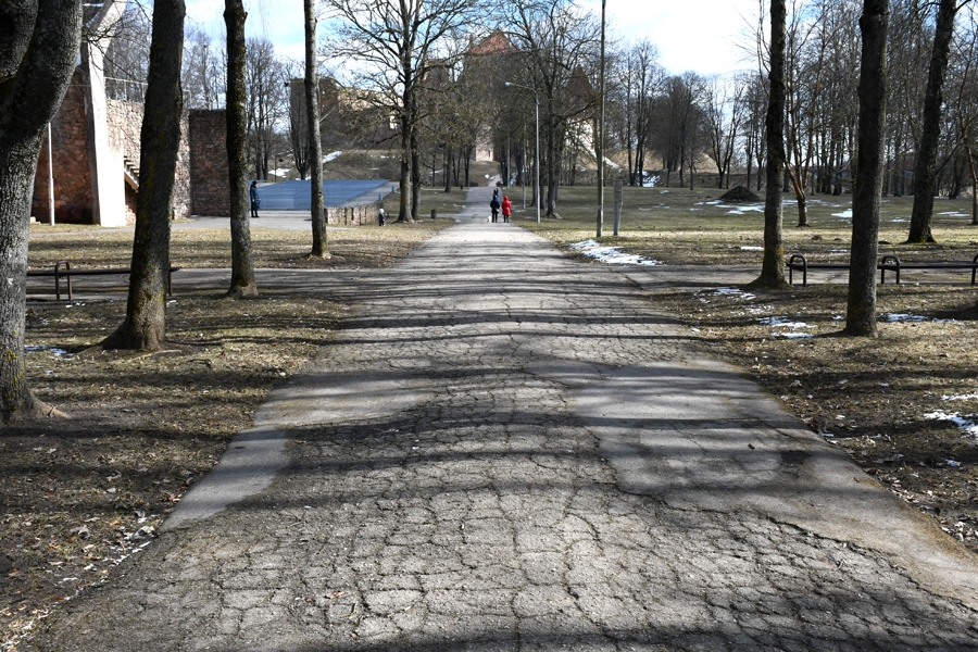 Parkā jau kuru gadu desmitu staigājam pa izlauzītu asfaltu centrālajā ejā.
Autors: Ivars Bogdanovs