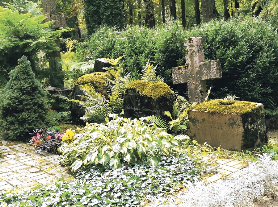 Karpu dzimtas apbedījumu vieta Bauskas vecajos kapos.
Autors: Dainis Bruģis, «Bauskas Dzīves» arhīvs.