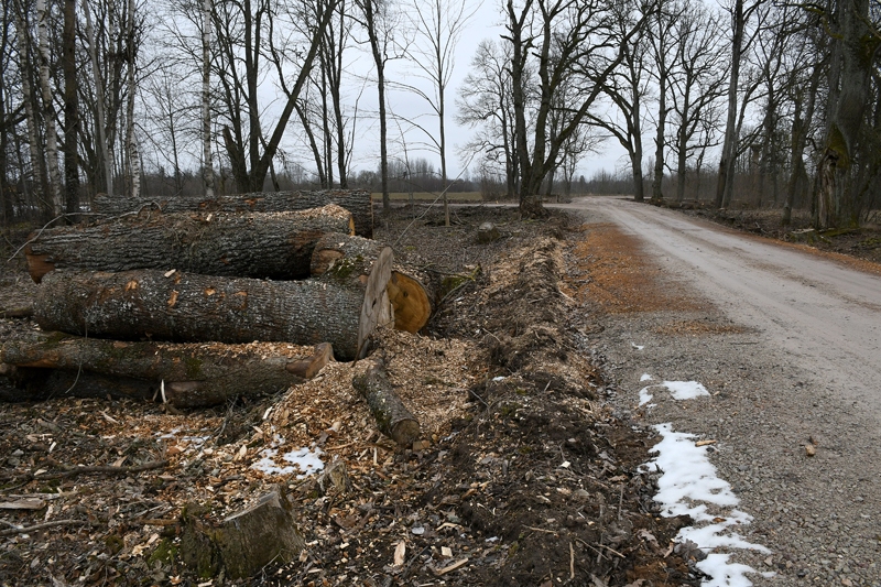 Autors: Ivars Bogdanovs