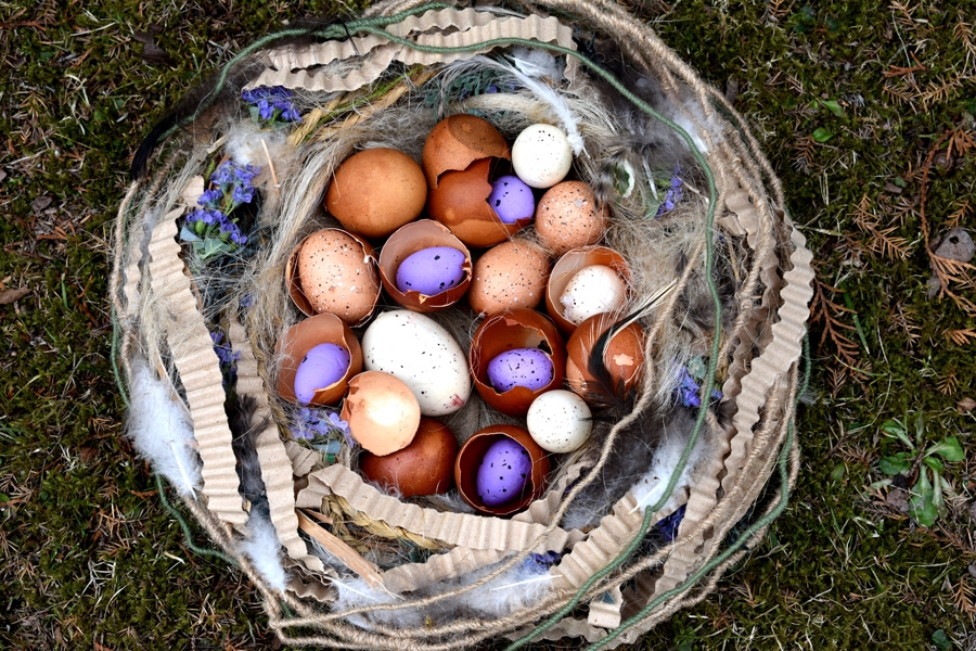 Ligzdu darinājusi Solvita Kozlovska.
Autors: no floristikas studijas krājuma.