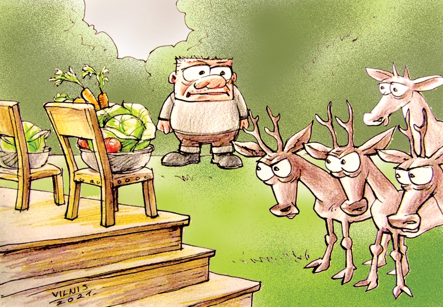 Autors: Zīmējums – Vilnis Bulavs, rīmes – Daina Ziemele