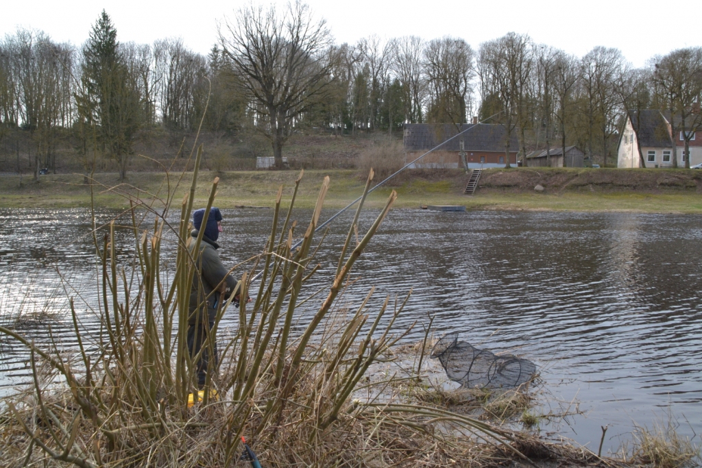 Autors: Kaspars Kalējs