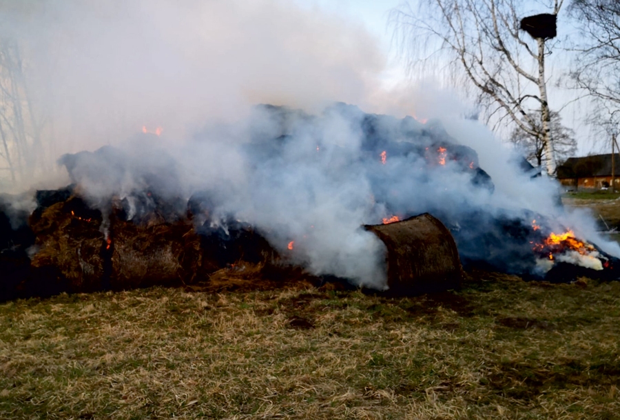 Bauskas novada Brunavas pagastā pirms laika ar atklātu liesmu dega ap 150 salmu ruļļi, kas bija sakrauti 15 metru garā un piecu metru platā krāvumā. No tā aizdegās arī blakus esošā sausā zāle 550 m2 platībā.
Autors: VUGD