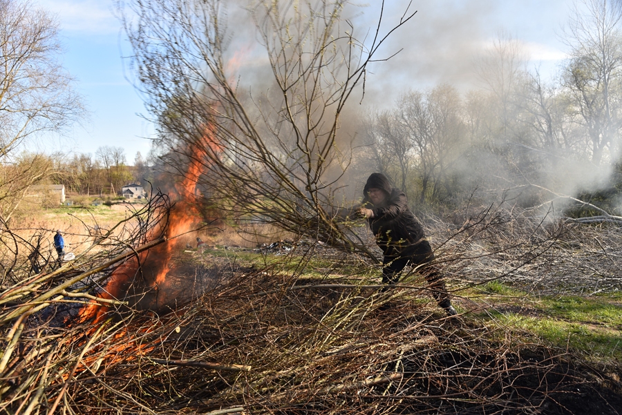 Aigars Vērmanis, Bauskas novada centralizētās grāmatvedības nodaļas vadītājs, nes zarus sadedzināšanai, lai atbrīvotu vietu tālākajiem labiekārtošanas darbiem.
Autors: Uldis Varnevičs