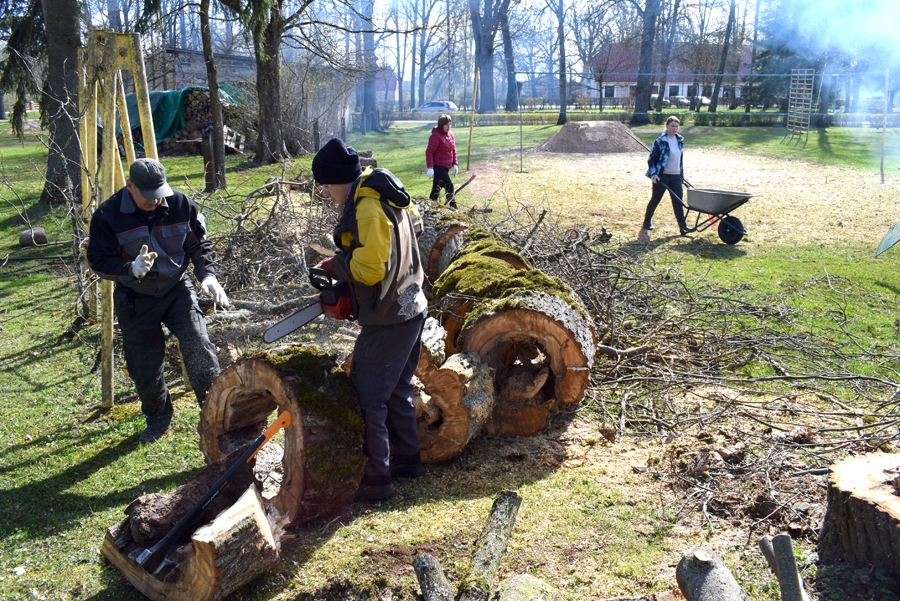 Skaistkalnes vidusskolas sporta laukumā arborista nogāzto bojāto liepu apstrādā Matīss Āķis (no labās) un skolas dārznieks Jānis Mediks.
Autors: Žanna Zālīte