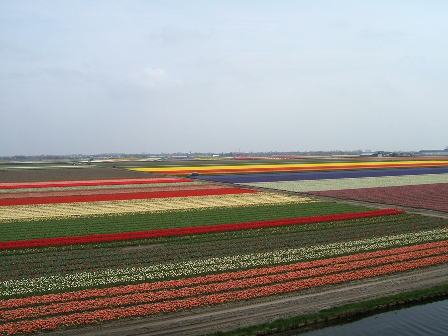 Zied tā, ka to var redzēt pat pa lidmašīnas logu.
Autors: Silvija Lipska