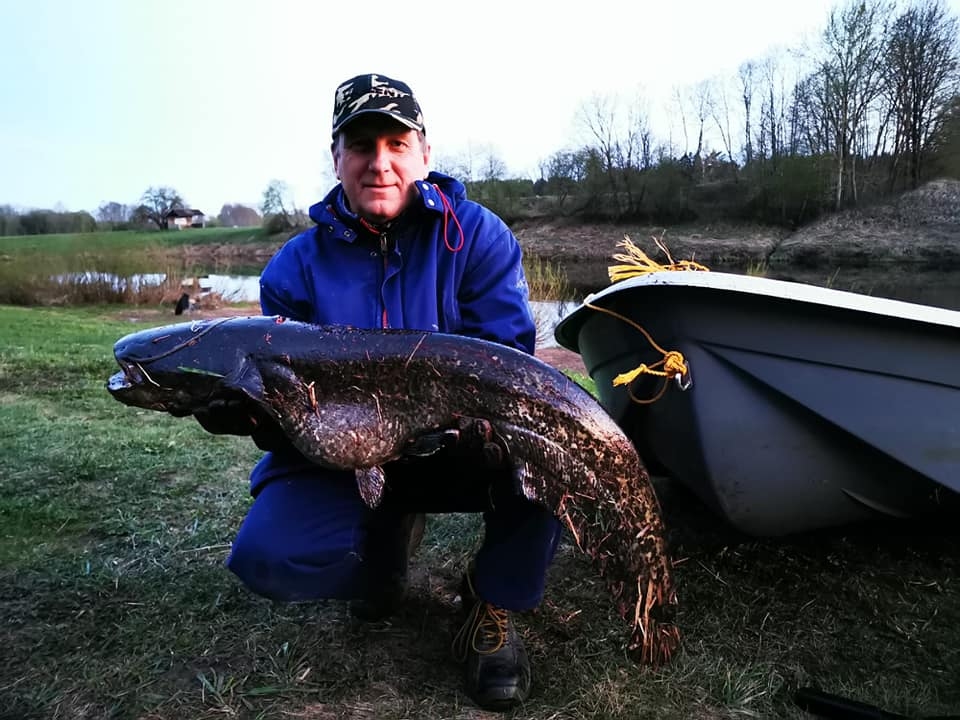 Jānis Skrējāns Mēmelē izvilcis  116 centimetru garu un 11,120 kg smagu samu.
Autors: No albuma.