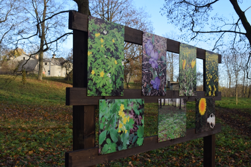 2020. gadā Vecumnieku novada pašvaldības projektu konkursā «Iedzīvotāji veido savu vidi» par labāko atzīts entuziastu grupas «Atpūtnieki un darbinieki» veikums Ānmēmeles muižas parkā Skaistkalnē.
Autors: Žanna Zālīte