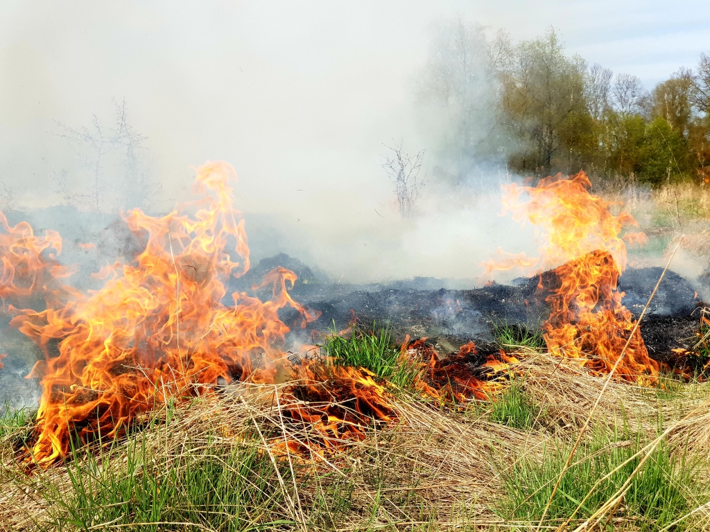 Autors: www.bauskasdzive.lv