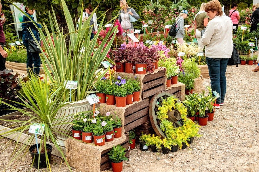 Stādu tirgus Rundāles pils parkā tiek rīkots kopš 2007. gada, tikai pērn un šogad tā formāts atšķiras – epidemioloģisko apstākļu dēļ tas vairs nav apvienots ar Dārza svētkiem vasarā.
Autors: Rundāles pils muzeja publicitātes foto.
