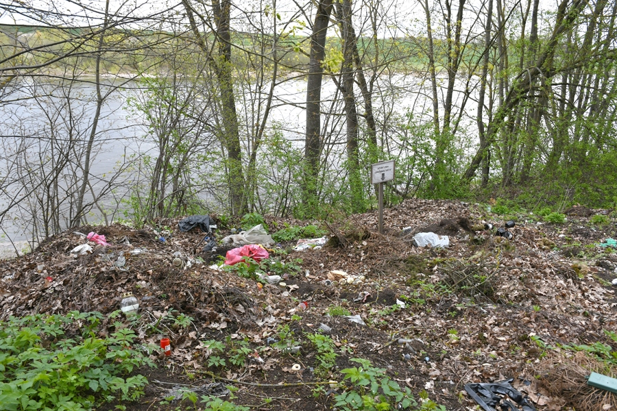 Iedzīvotājus uztrauc, ka Priedīšu kapsētā atkritumu kaudze ir tik tuvu Lielupei.
Autors: Ivars Bogdanovs