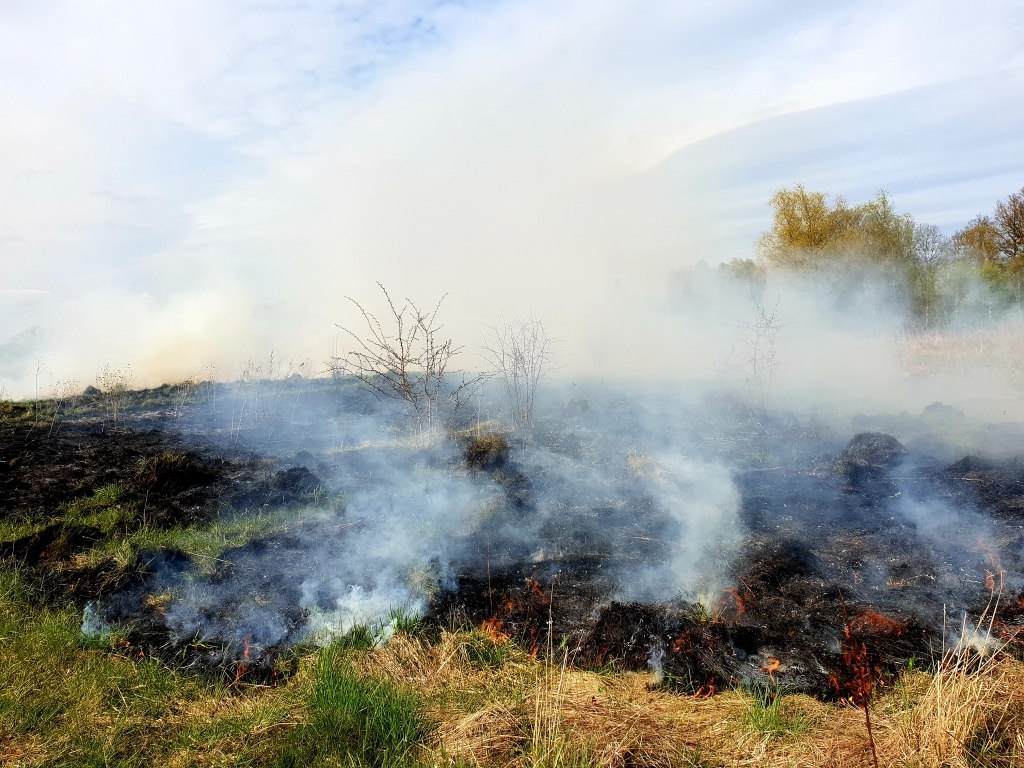 Autors: www.bauskasdzive.lv