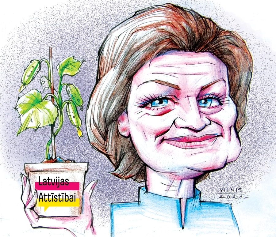 «Zaļais gurķis» politikā Ināra Pētersone ir 
partijas «Latvijas attīstībai» saraksta līdere Bauskas novada domes vēlēšanās. 
Strādā divās 
biedrībās, viena 
no tām ir cieši saistīta ar veselības nozari, kas pašlaik valstī ir partiju apvienības «Attīstībai/PAR!» ministra Daniela Pavļuta pārvaldībā.