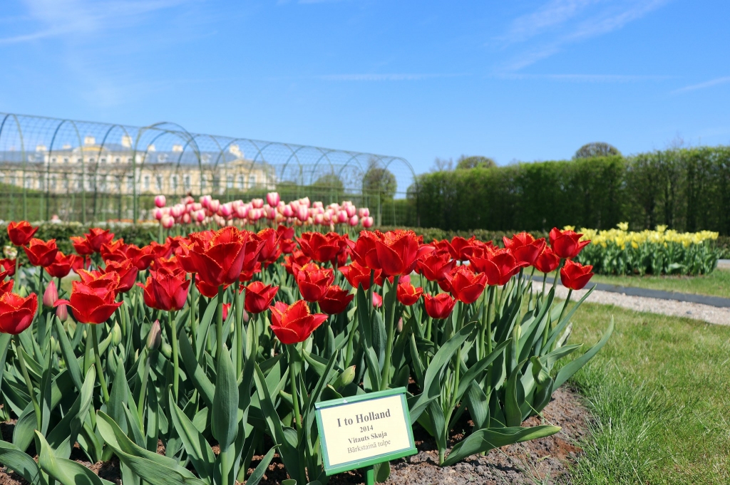 Autors: Publicitātes foto.