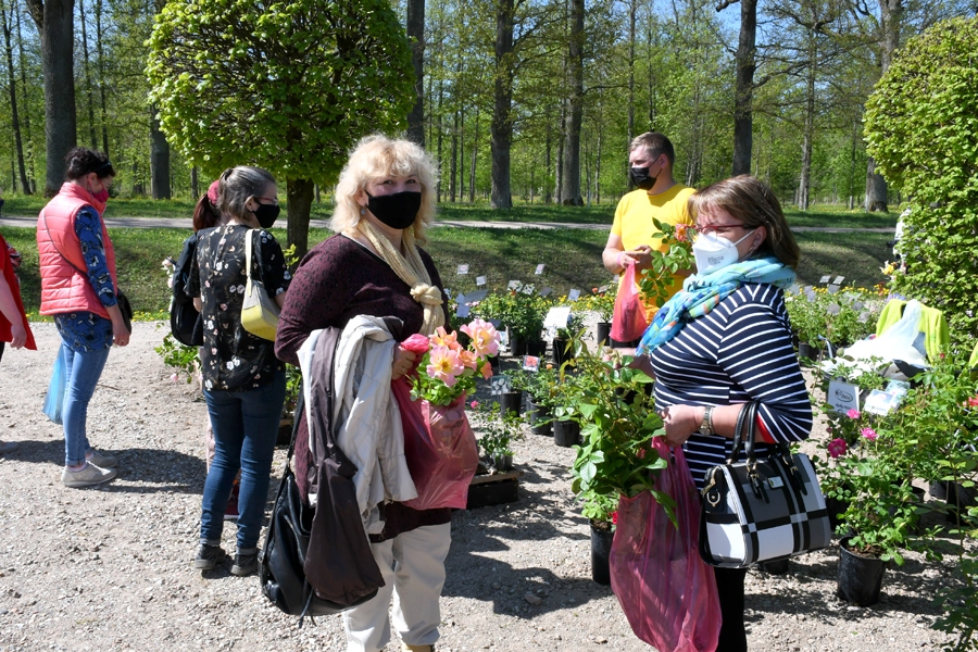 Iecavnieces Rudīte Berdigane (tuvplānā no labās) un Jana Arāja bija ieradušās pēc konkrētiem rožu stādiem.
Autors: Ivars Bogdanovs